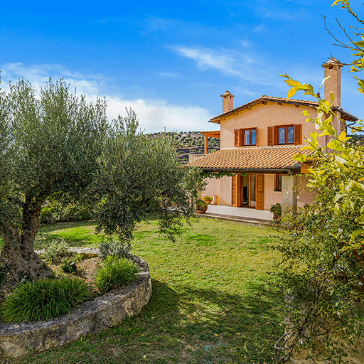 Stone-accented villa nestled in olive grove with hillside views